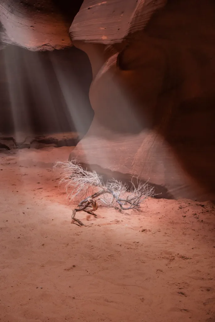 Sunlight filters through Antelope Canyon, highlighting a lone branch on the sandy floor.