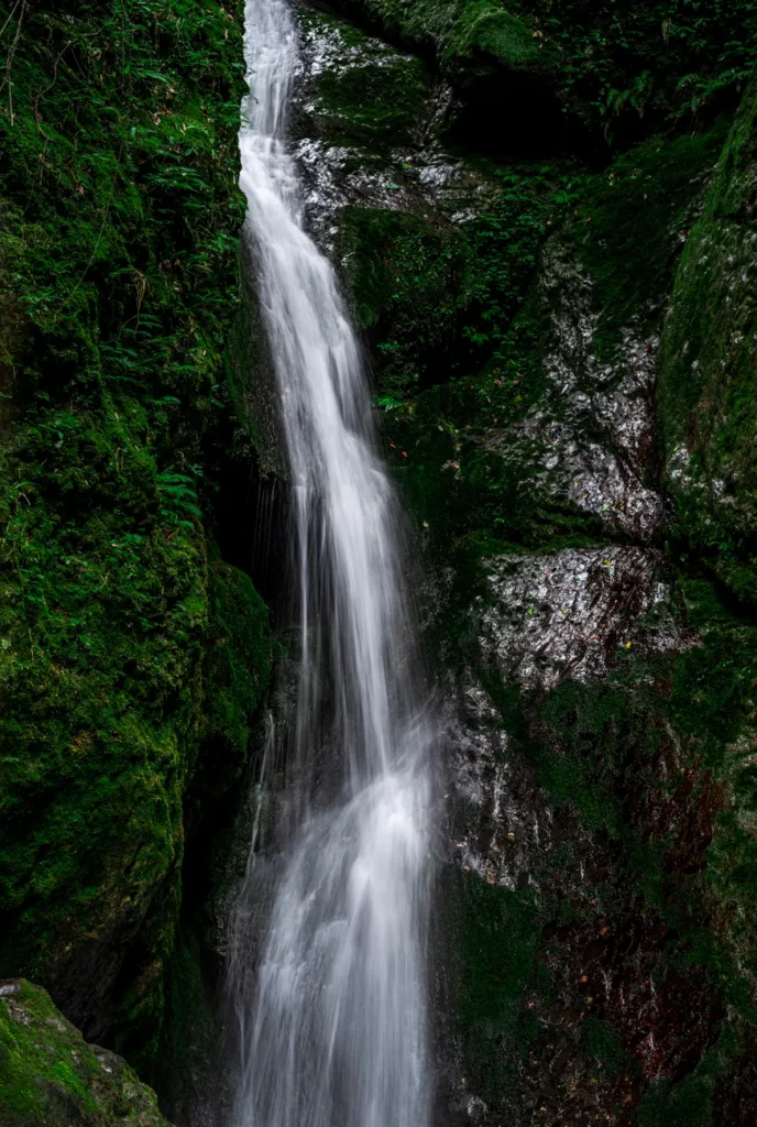 Vertical shot of a picturesque waterfall cascading over moss-covered rocks, surrounded by lush greenery.