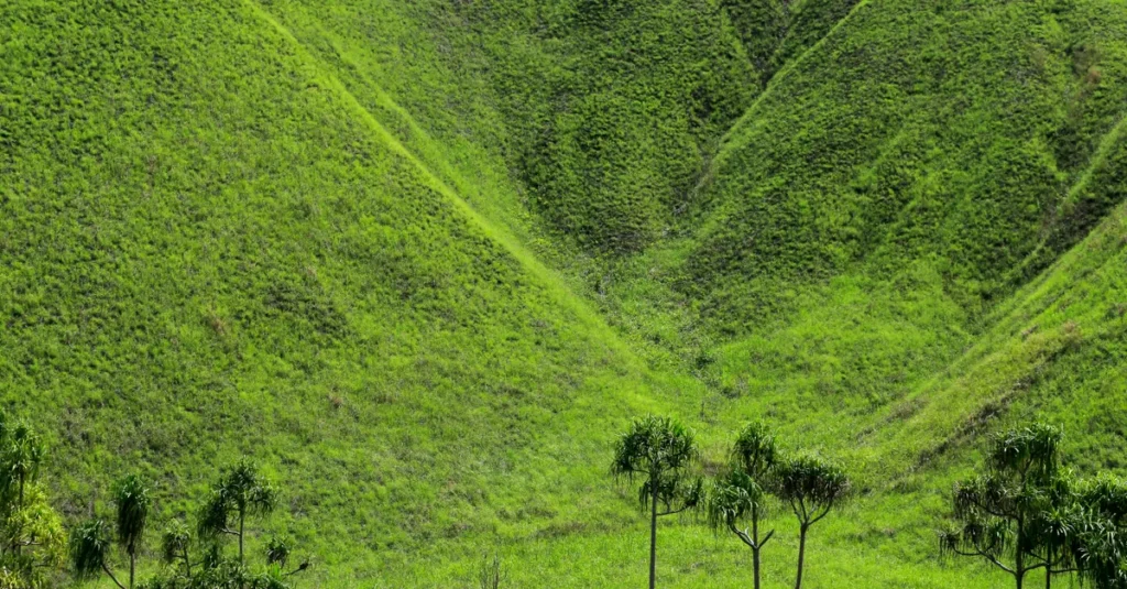 Vibrant green hills with sparse trees create a serene and natural landscape scene.