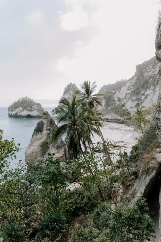View of a serene cliffside beach with lush palm trees and rocky formations by the sea.