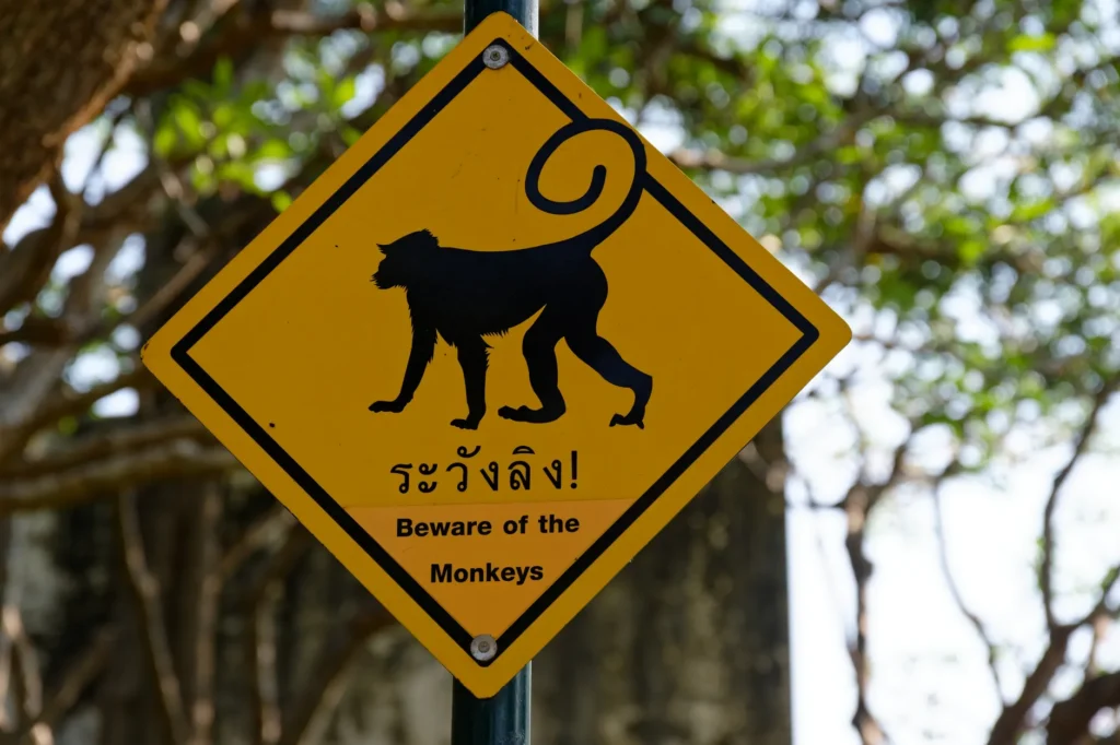 Yellow caution sign warning 'Beware of the Monkeys' in Thailand, surrounded by trees.