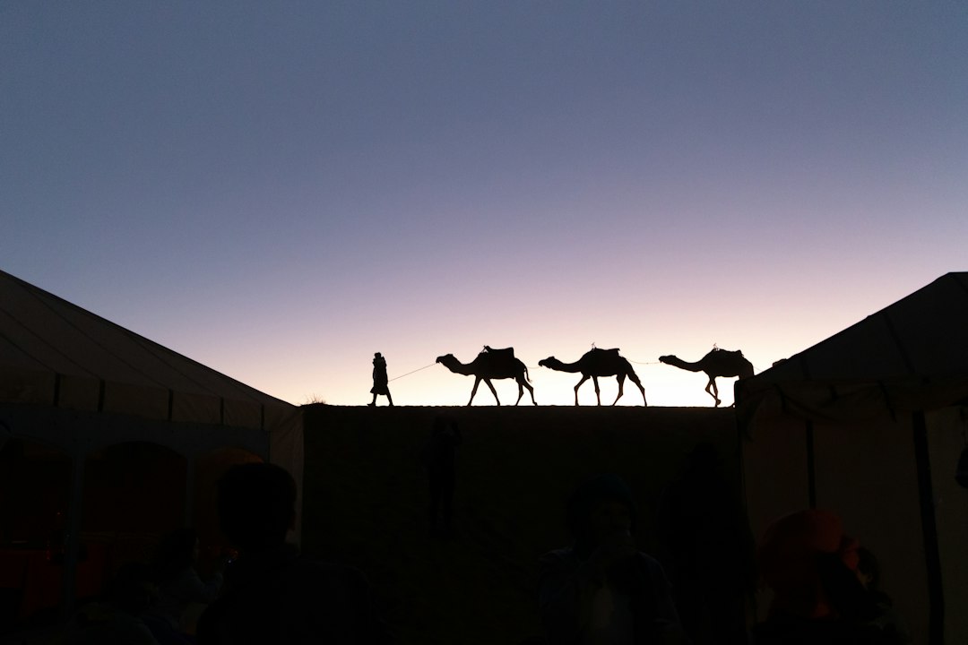 Que faire au Maroc : mon itinéraire en 15 jours