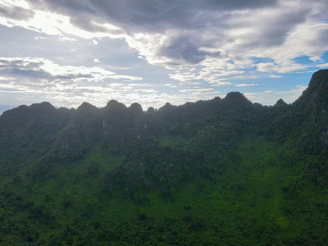 Rizières en terrasses : le guide complet pour explorer les merveilles du Vietnam