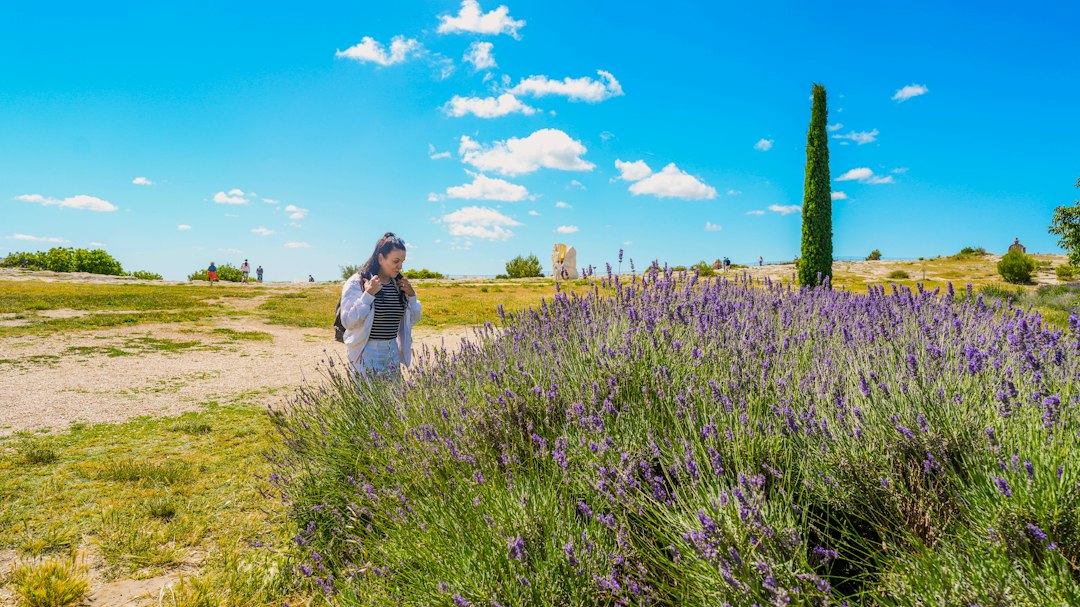 Vacances de la Toussaint : top 7 des séjours en famille en France