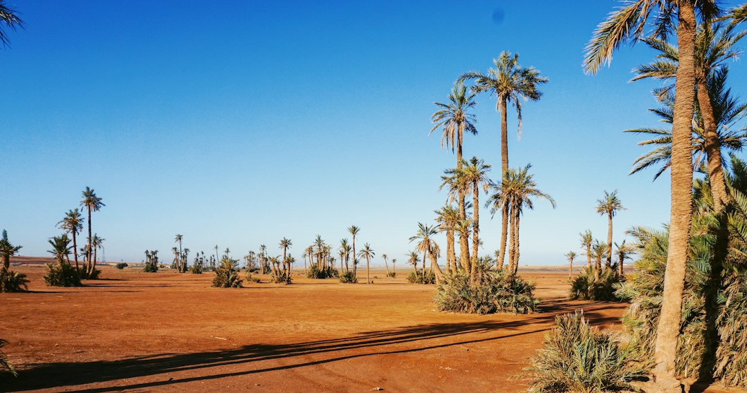 Vacances en famille au Maroc : mon dossier complet