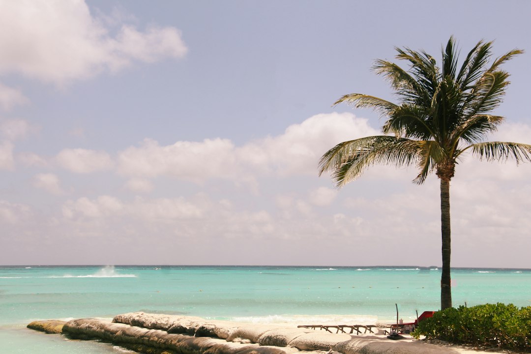 Que visiter à Mexico : que faire et où dormir ?