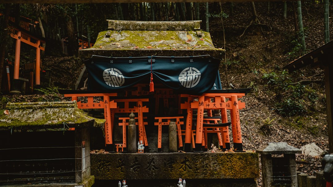 Avis de parent sur un voyage au Japon avec un enfant de 7 ans