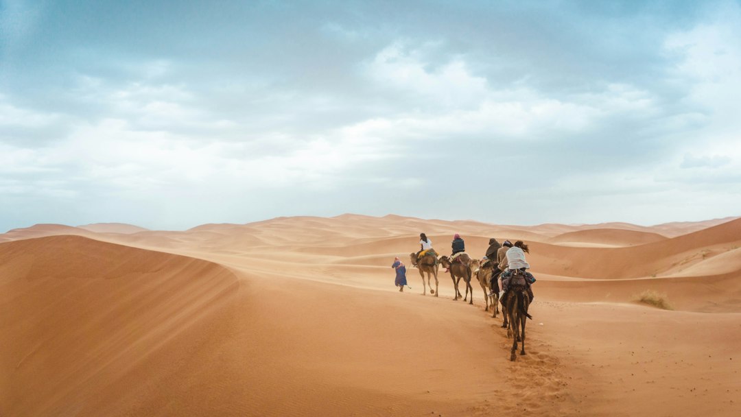 Voyager en famille en Afrique du Sud : le guide ultime